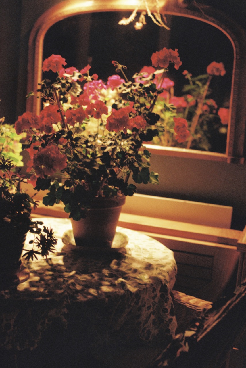 Photography Sample 1