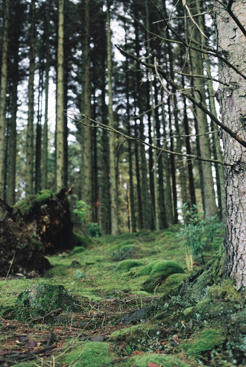 Photography Sample 2